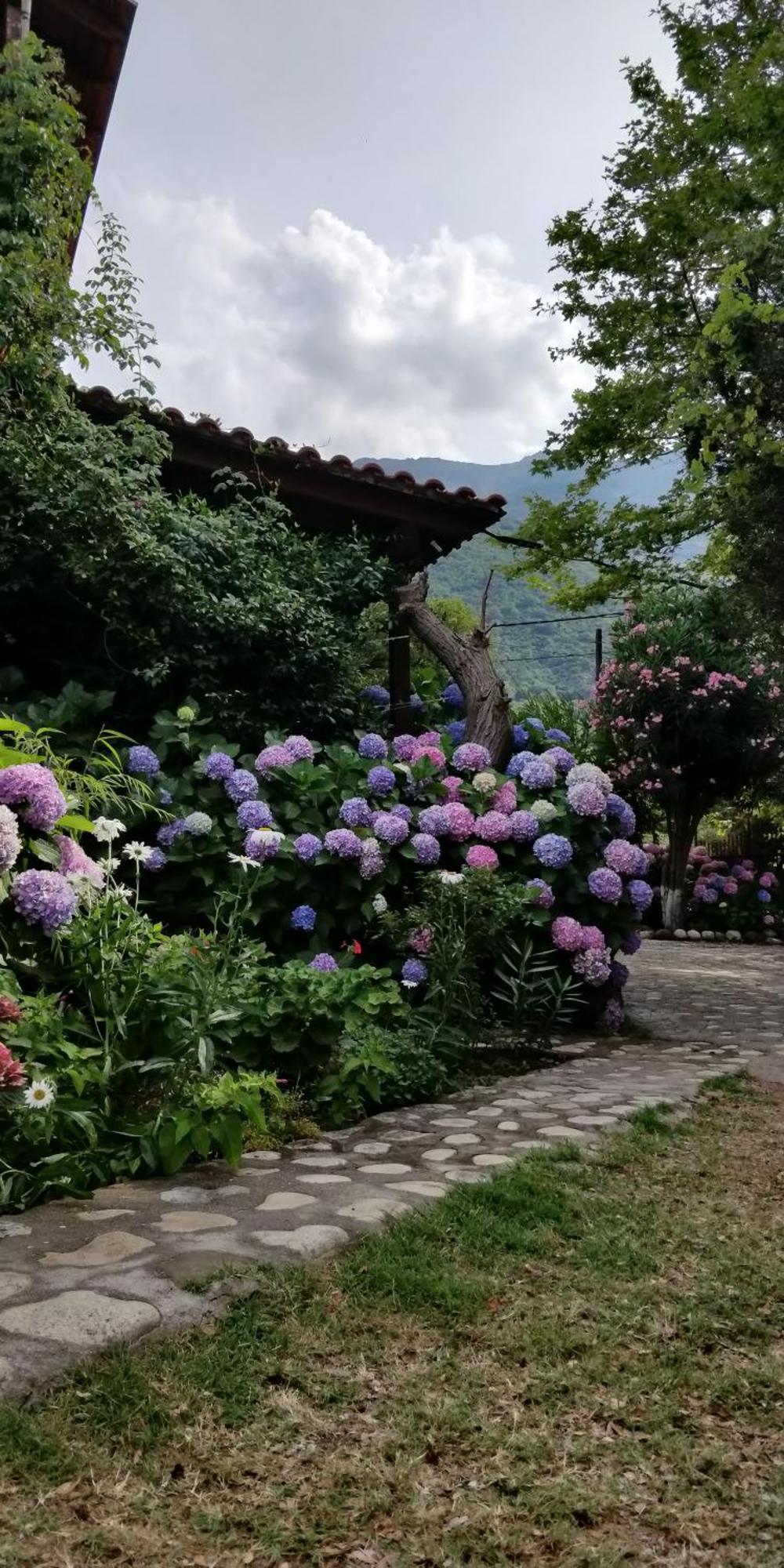 Akamatis Giorgos Hotel Thérma Kültér fotó